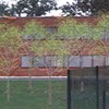 Cité-tech