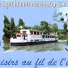 Carte De Visite Ptitmousse