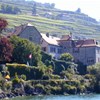 Cave du Chateau de Glérolles SA
