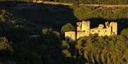 Le Château De Roussillon