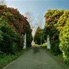 Le parc