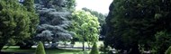 Le parc