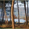 Domaine De Tremelin