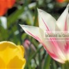 Domaine Du Grand Caugy
