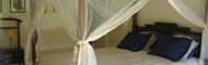 Suite Nuptiale